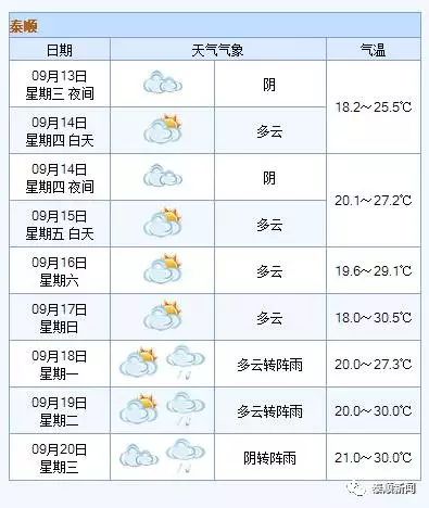 资讯 第262页