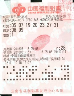 2224澳门特马令晚开奖,澳门特马令晚开奖——探索彩票背后的故事与魅力