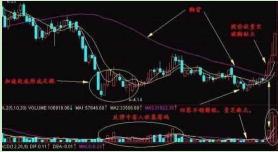 精准一肖100%准确精准的含义,精准一肖，探寻百分之百准确预测的魅力与内涵