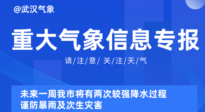 2025新奥资料免费精准051,探索未来，2025新奥资料免费精准获取之道（关键词，新奥资料、免费精准、获取策略）