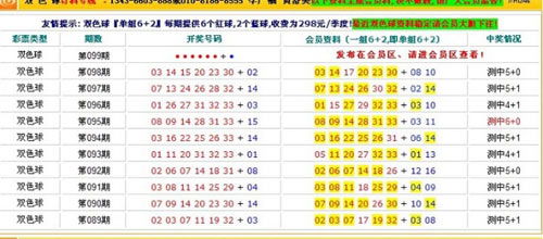 澳门4949最快开奖结果,澳门4949最快开奖结果，探索彩票世界的速度与激情