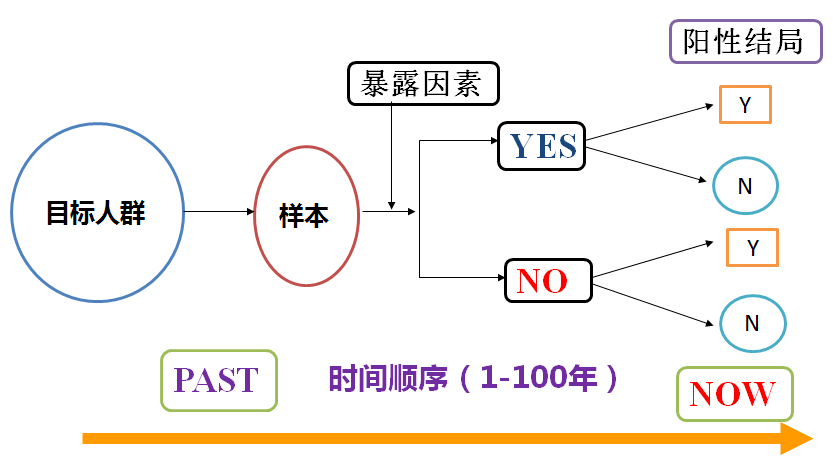 2025最新奥马资料传真,关于最新奥马资料传真的研究与分析（2025年）